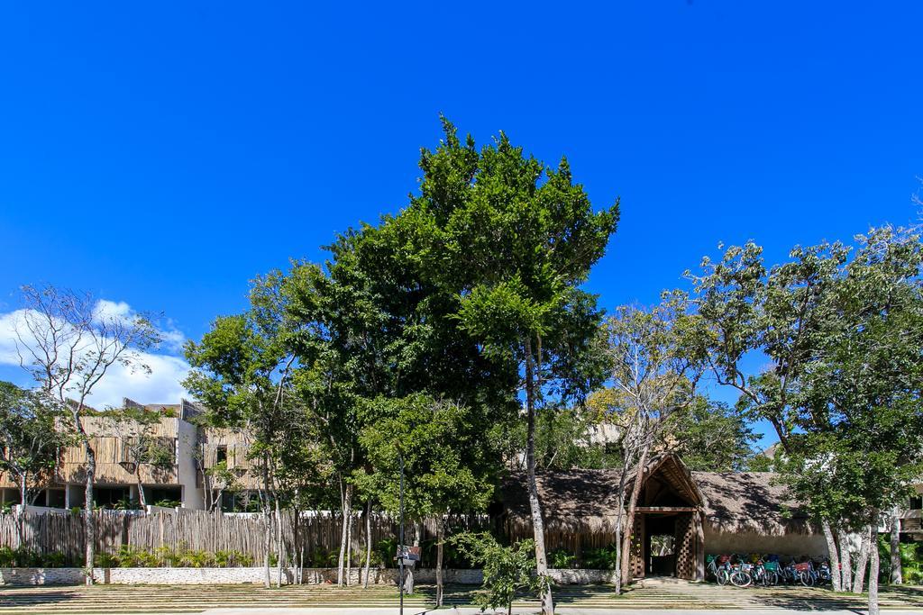 Eco-Chic Design Condos Wrapped In Nature'S Elements By Stella Rentals Tulum Exterior photo